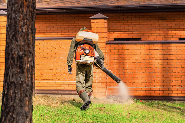 Trusted Mosquito Control service in St. Paul, MN - Nex Pest Control